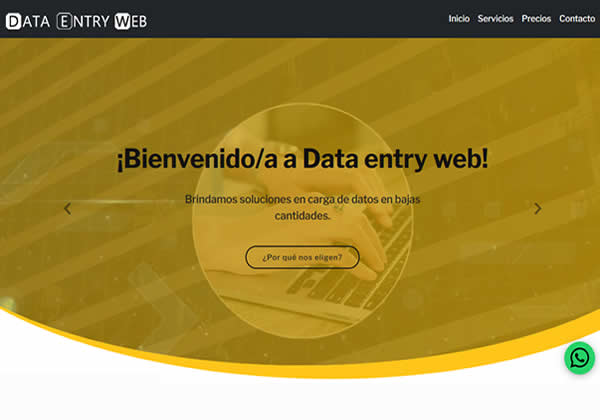 Data entry web - Carga de datos